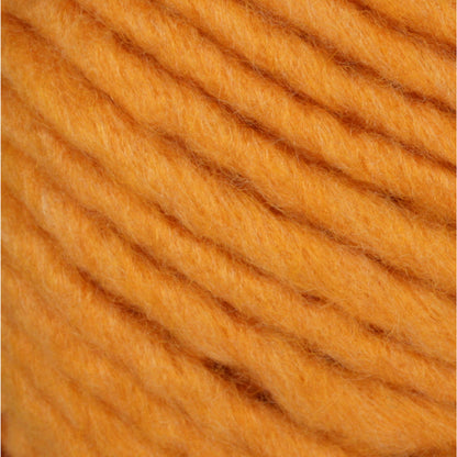 Bernat Roving Yarn - Discontinued Shades Squashed