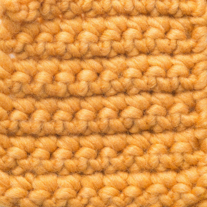 Bernat Roving Yarn - Discontinued Shades Squashed