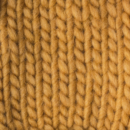 Bernat Roving Yarn - Discontinued Shades Squashed