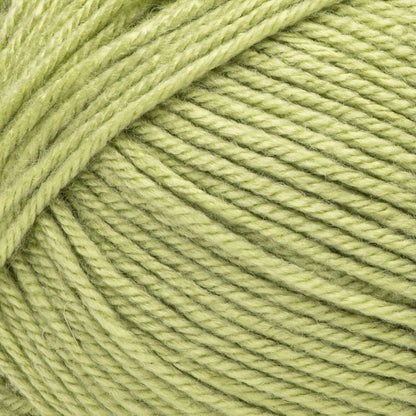 Bernat Fabwoolous Yarn - Clearance Shades Lime