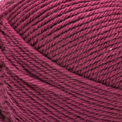 Bernat Fabwoolous Yarn - Clearance Shades Fuchsia