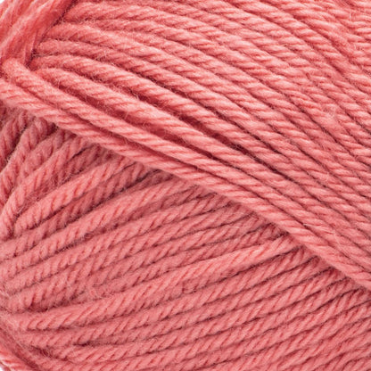 Bernat Fabwoolous Yarn - Clearance Shades Rich Rose