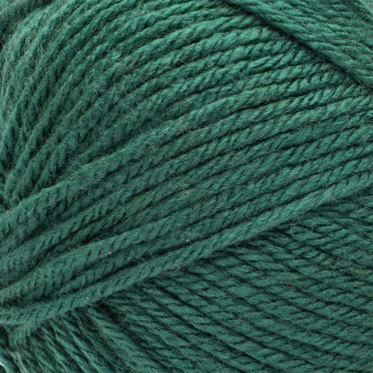 Bernat Fabwoolous Yarn - Clearance Shades Pine