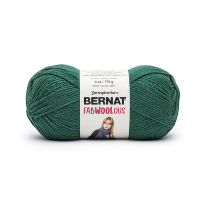 Bernat Fabwoolous Yarn - Clearance Shades Pine