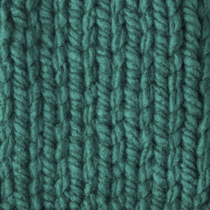 Bernat Softee Chunky Yarn (100g/3.5oz) Emerald