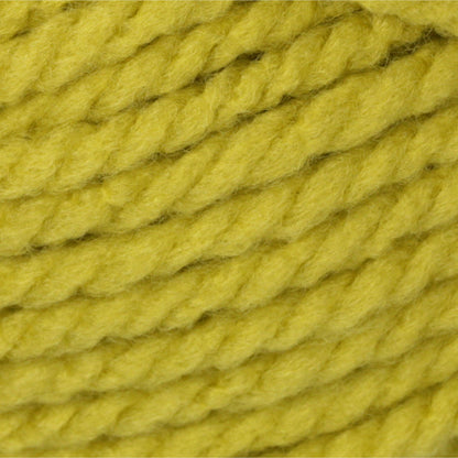 Bernat Softee Chunky Yarn (100g/3.5oz) - Discontinued Shades Grass