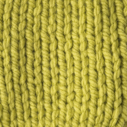 Bernat Softee Chunky Yarn (100g/3.5oz) - Discontinued Shades Grass