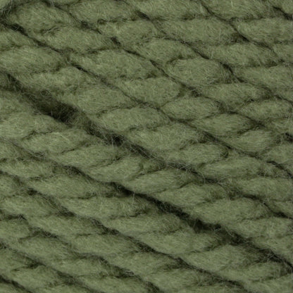 Bernat Softee Chunky Yarn (100g/3.5oz) Forest