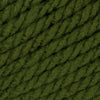 Eucalyptus