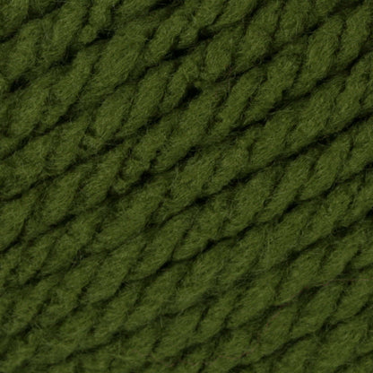 Bernat Softee Chunky Yarn (100g/3.5oz) - Discontinued Shades Eucalyptus
