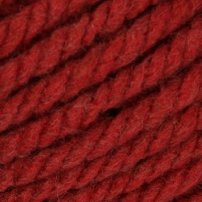 Bernat Softee Chunky Yarn (100g/3.5oz) - Discontinued Shades Redwood