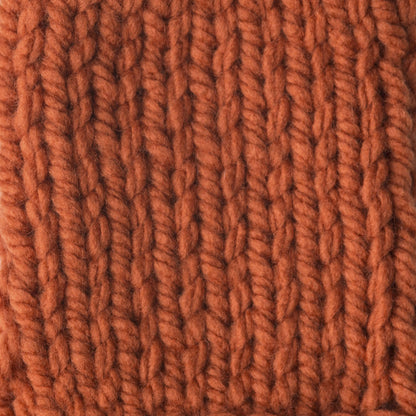 Bernat Softee Chunky Yarn (100g/3.5oz) Pumpkin