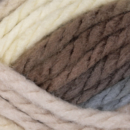 Bernat Softee Chunky Ombres Yarn Nature's Way