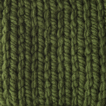 Bernat Softee Chunky Yarn (400g/14oz) - Discontinued Shades Eucalyptus