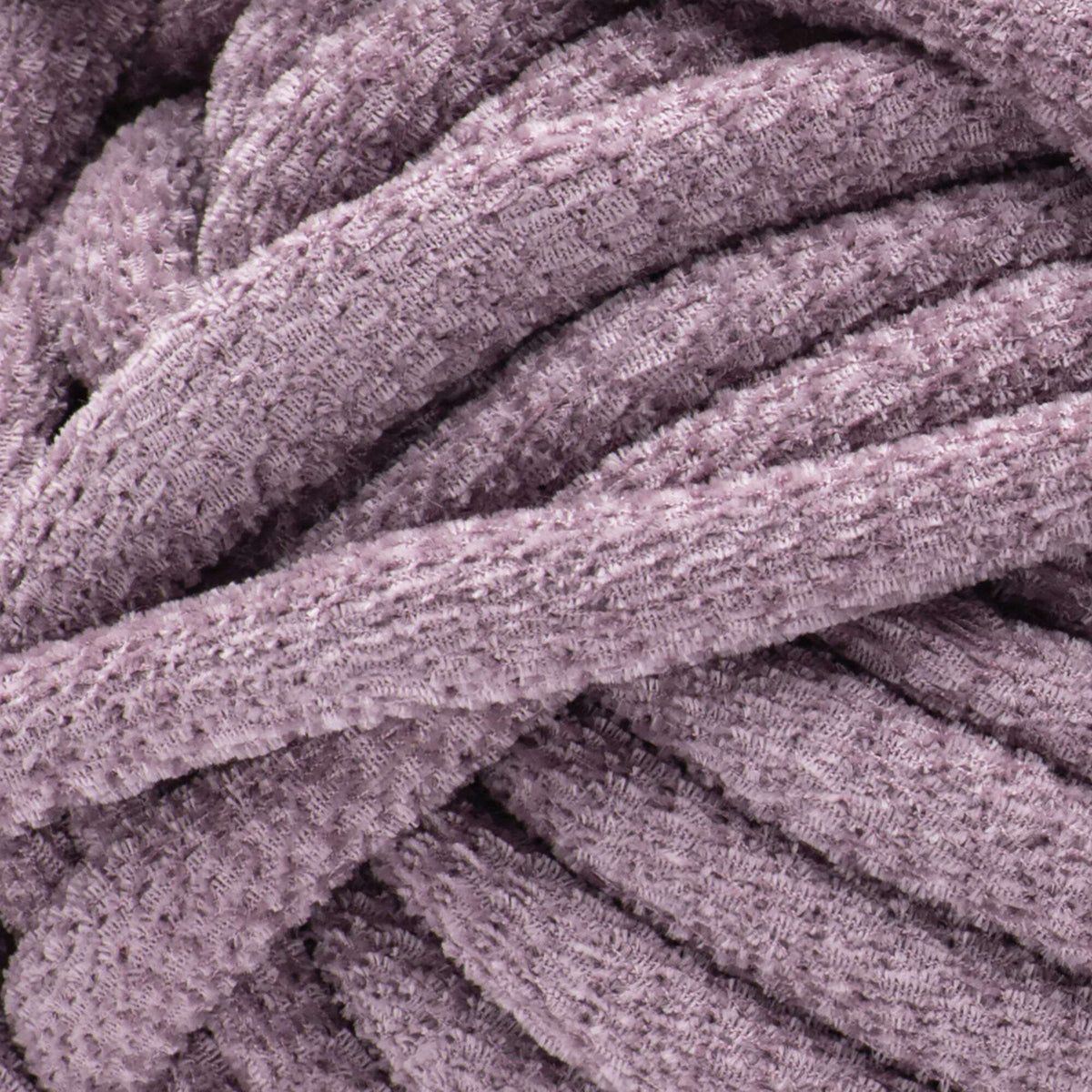 Elderberry