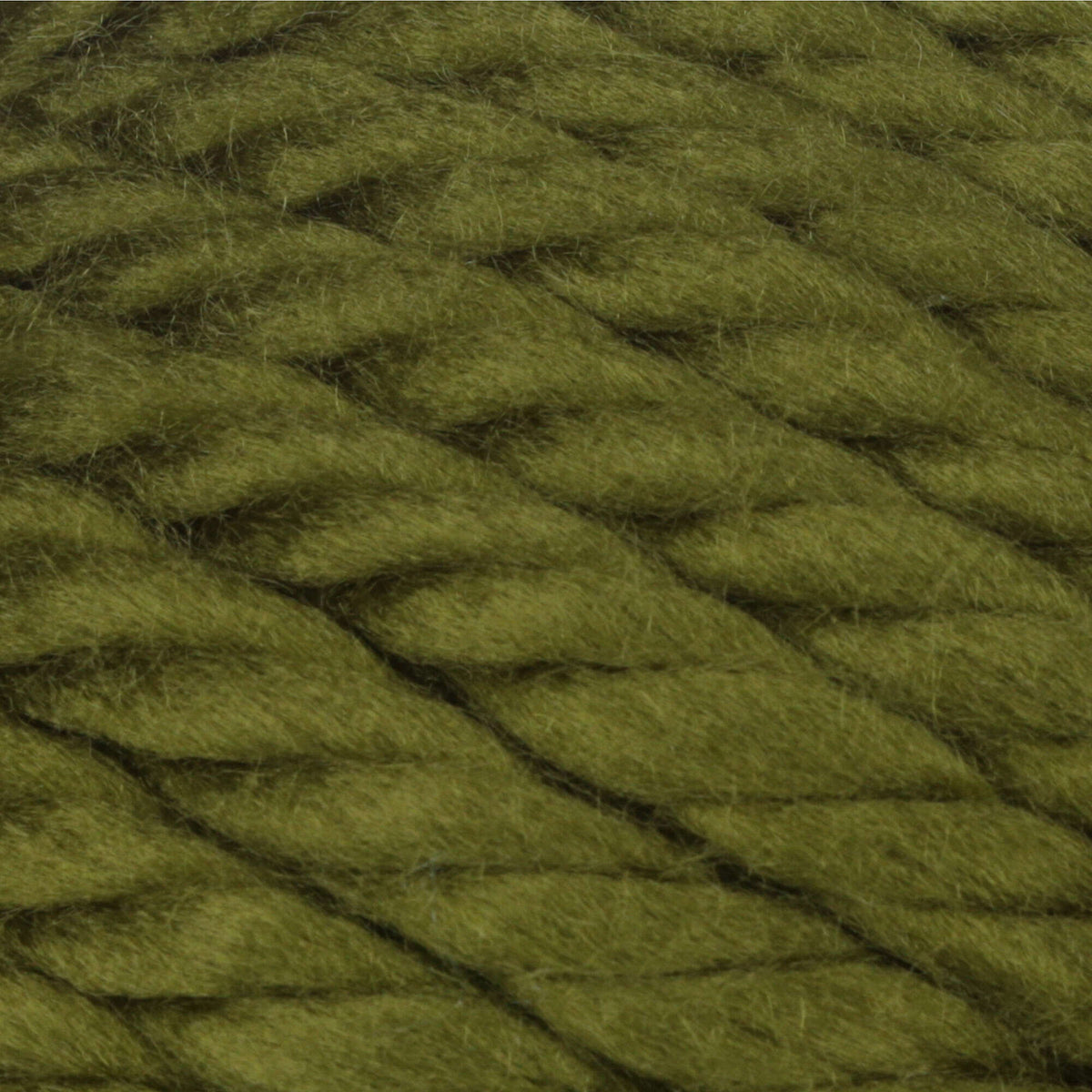 Eucalyptus