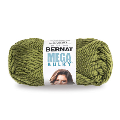 Bernat Mega Bulky Yarn - Discontinued Shades Eucalyptus