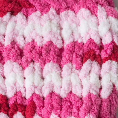 Bernat Blanket Brights Yarn - Discontinued Shades Raspberry Ribbon Varg