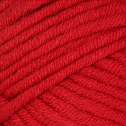 Bernat Beyond Yarn - Discontinued Shades Red