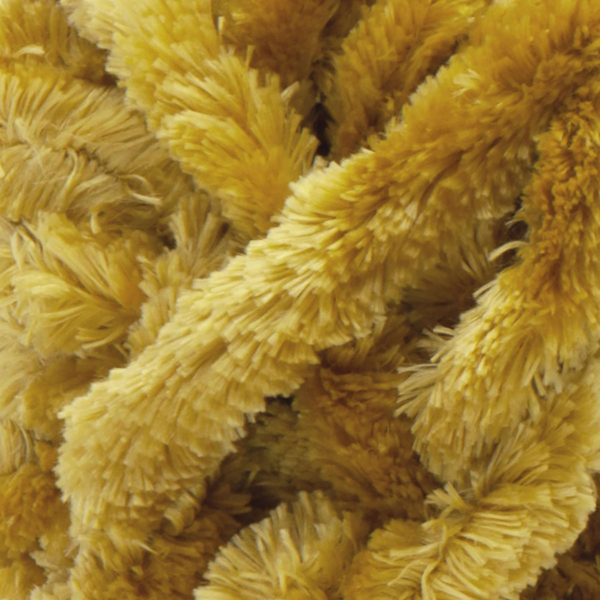 Golden Moss