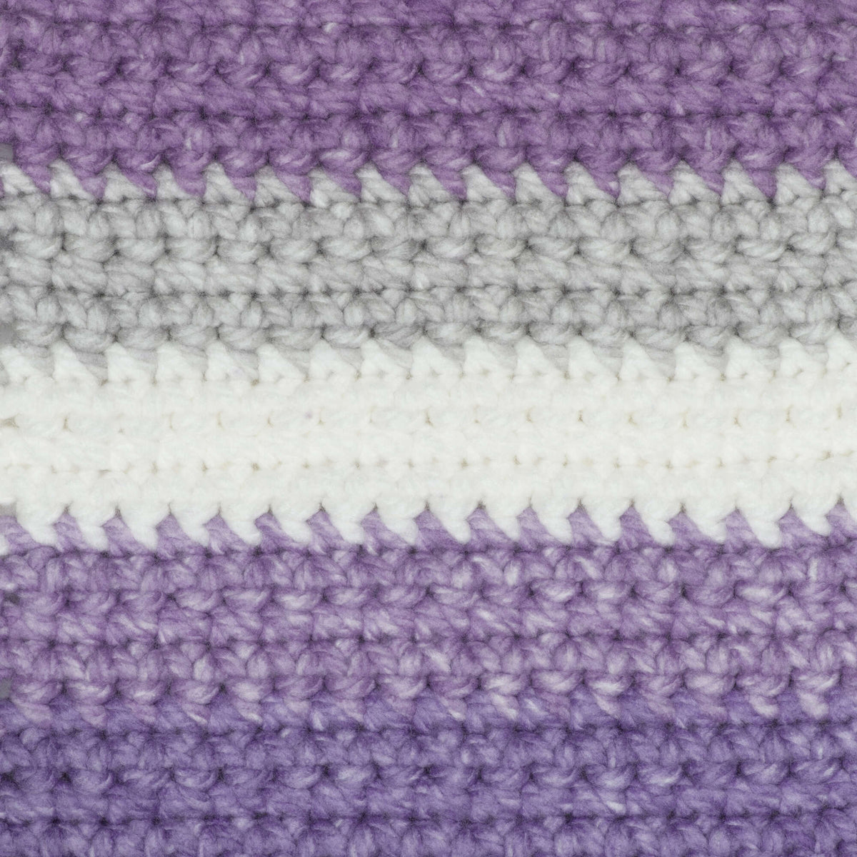 Poppy Purple