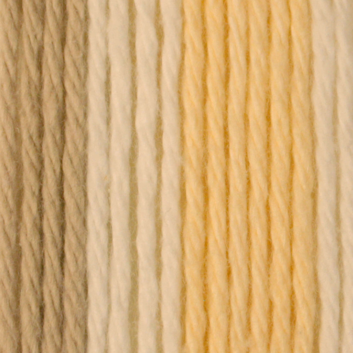 Queen Ann's Lace Ombre
