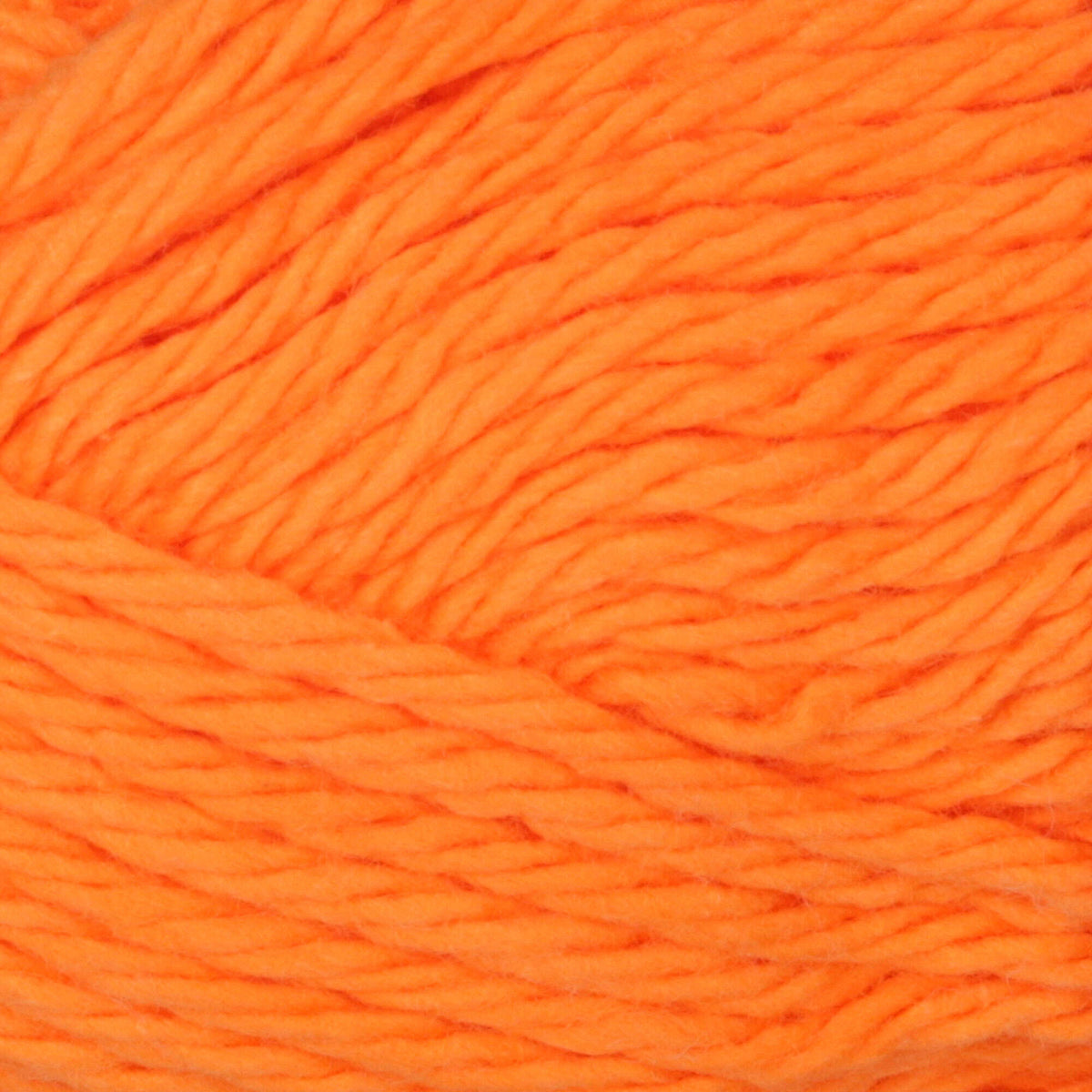 Hot Orange