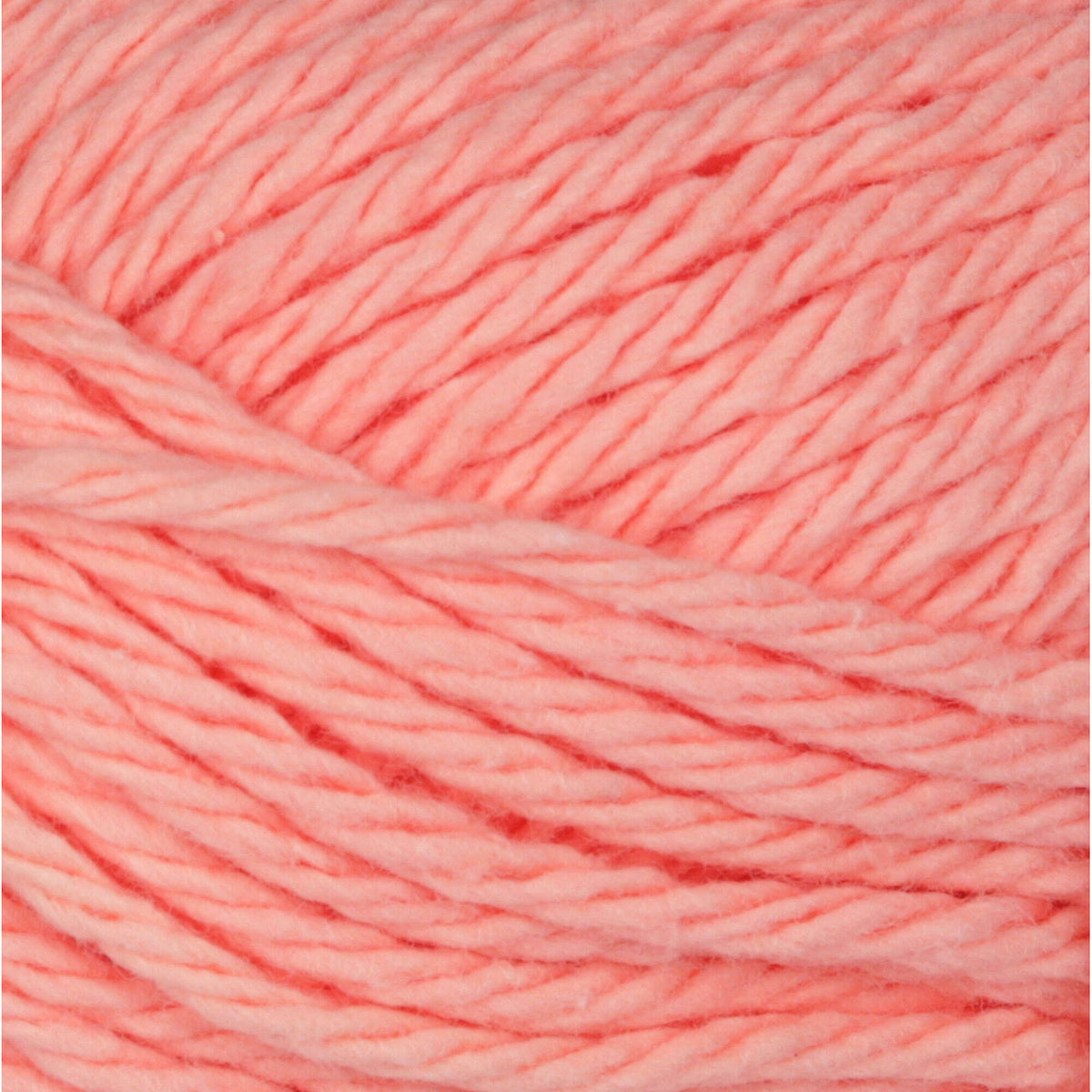 Coral Rose
