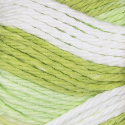 Bernat Handicrafter Cotton Stripes Yarn - Discontinued Shades Lime Stripes