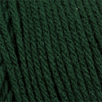 Bernat Super Value Yarn Deep Sea Green