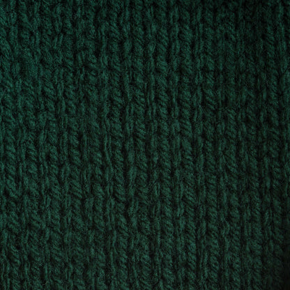 Bernat Super Value Yarn Deep Sea Green