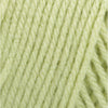 Soft Fern