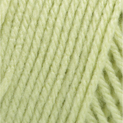 Bernat Super Value Yarn - Discontinued Shades Soft Fern