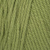 Fern
