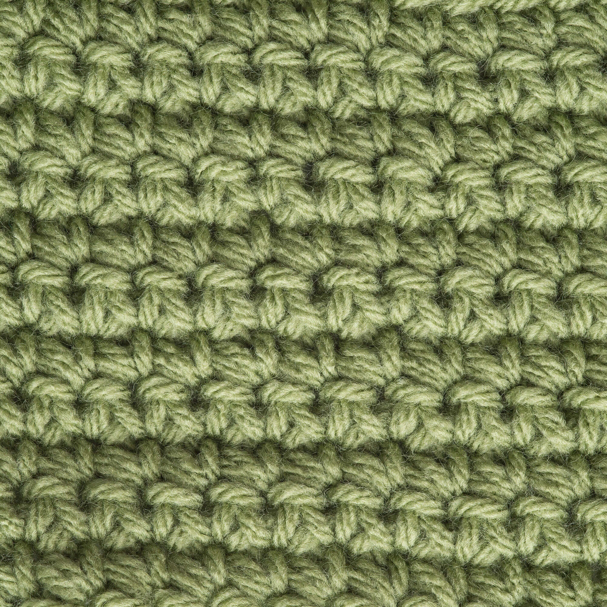 Fern