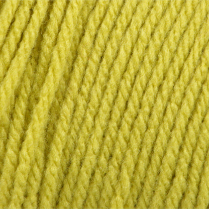 Bernat Super Value Yarn Grass