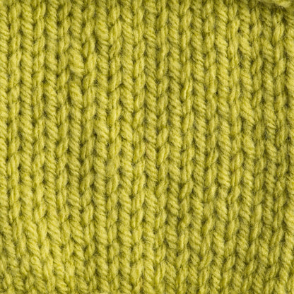 Bernat Super Value Yarn Grass