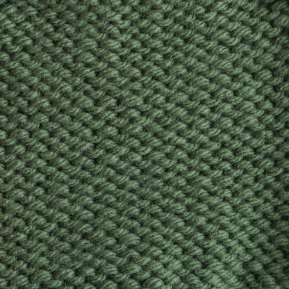 Bernat Super Value Yarn Forest Green