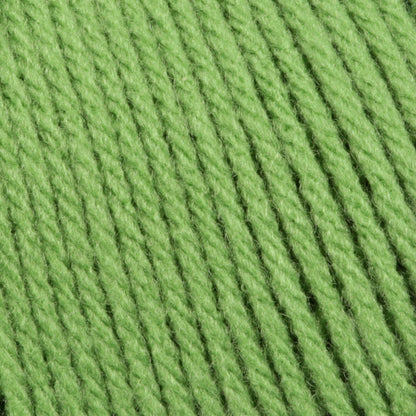 Bernat Super Value Yarn Lush