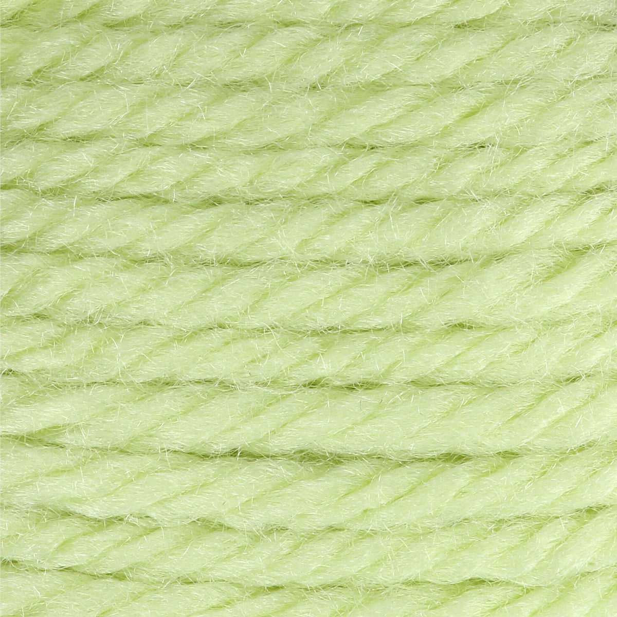 Soft Fern
