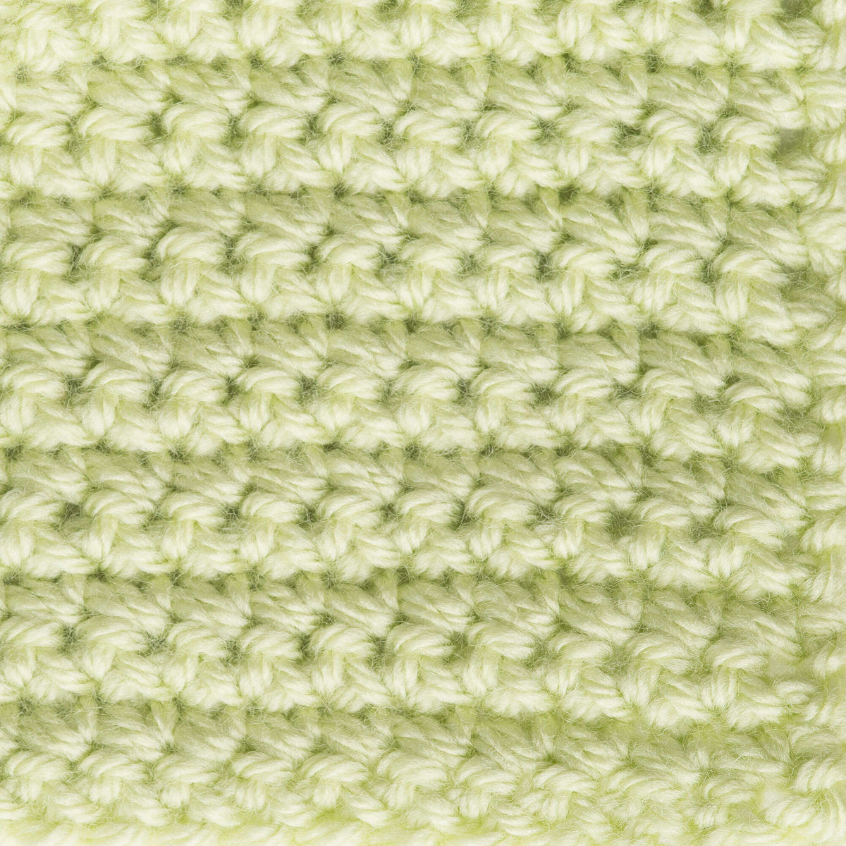 Soft Fern