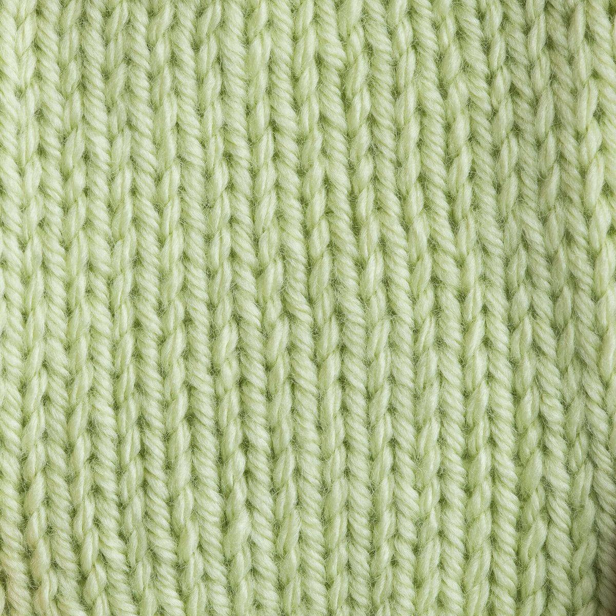 Soft Fern