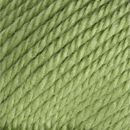 Bernat Satin Yarn - Discontinued Shades Fern