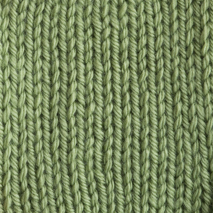 Bernat Satin Yarn - Discontinued Shades Fern