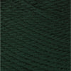 Forest Pine