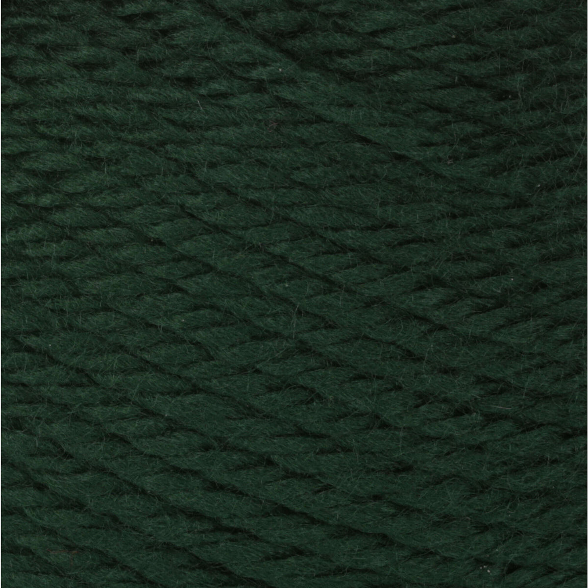 Forest Pine