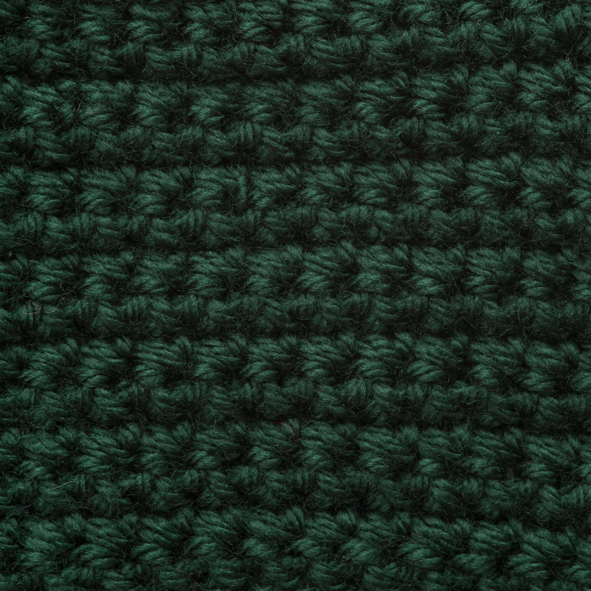 Forest Pine