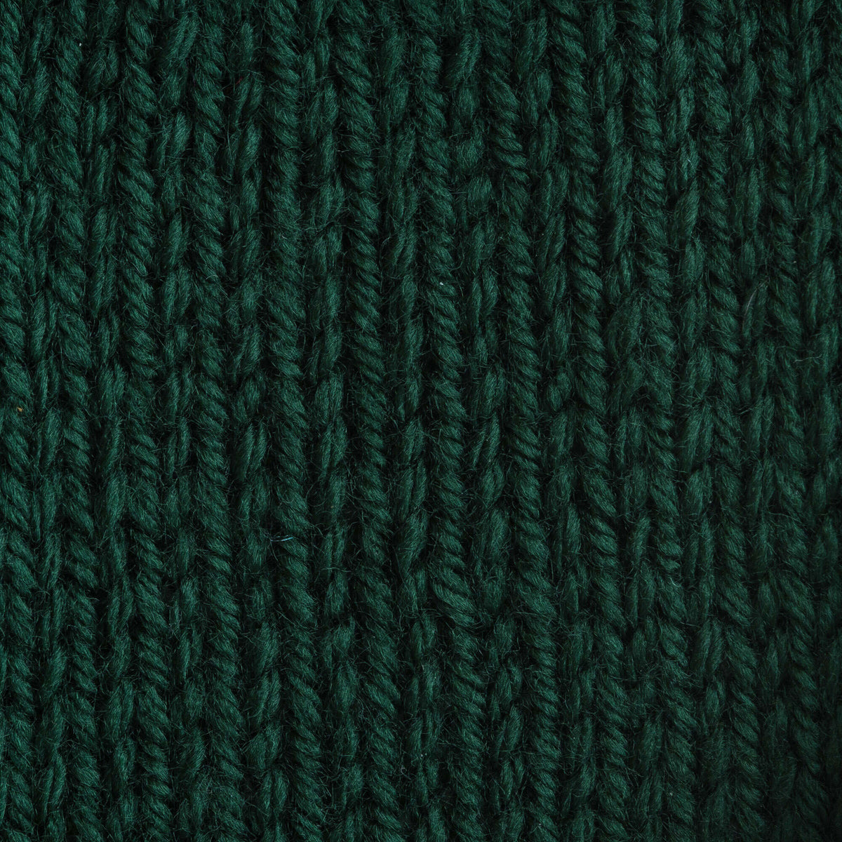 Forest Pine