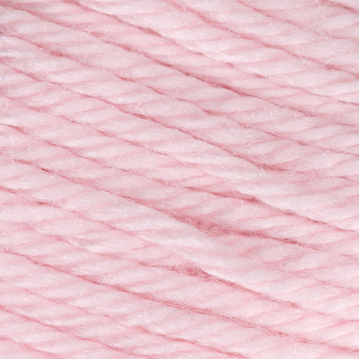 Sea Shell