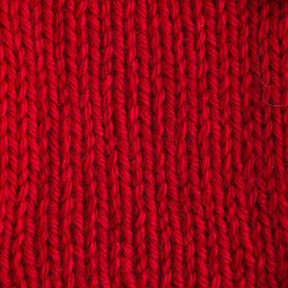 Bernat Satin Yarn - Discontinued Shades Crimson